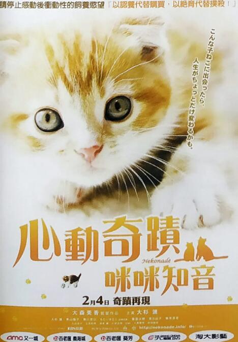 小猫奇缘(全集)