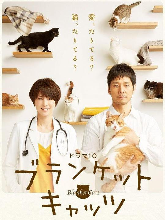 毛毯猫第06集
