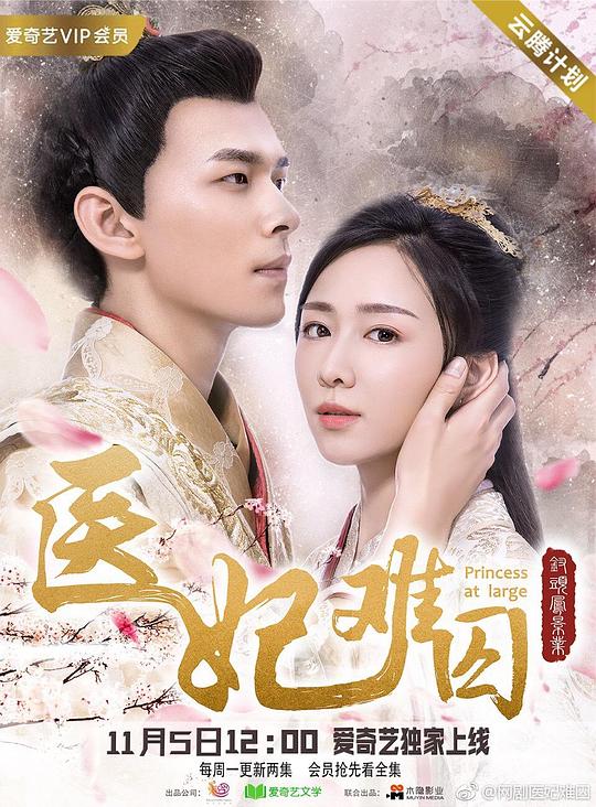 医妃难囚第一季第12集(大结局)