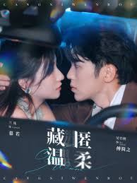 藏匿温柔第97集